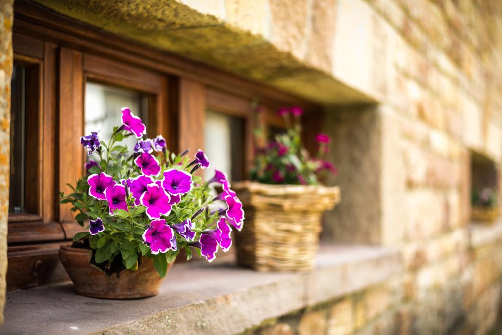 Casavieja Rural Villa Abiada Kültér fotó